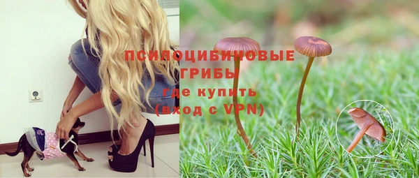 герыч Осинники