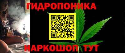мдпв Камышлов