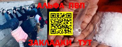 мдпв Камышлов