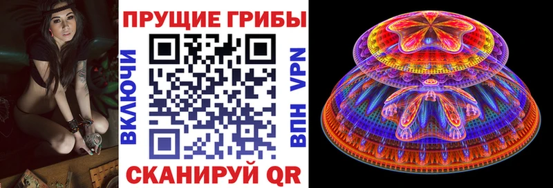 купить наркоту  Ярцево  Псилоцибиновые грибы ЛСД 