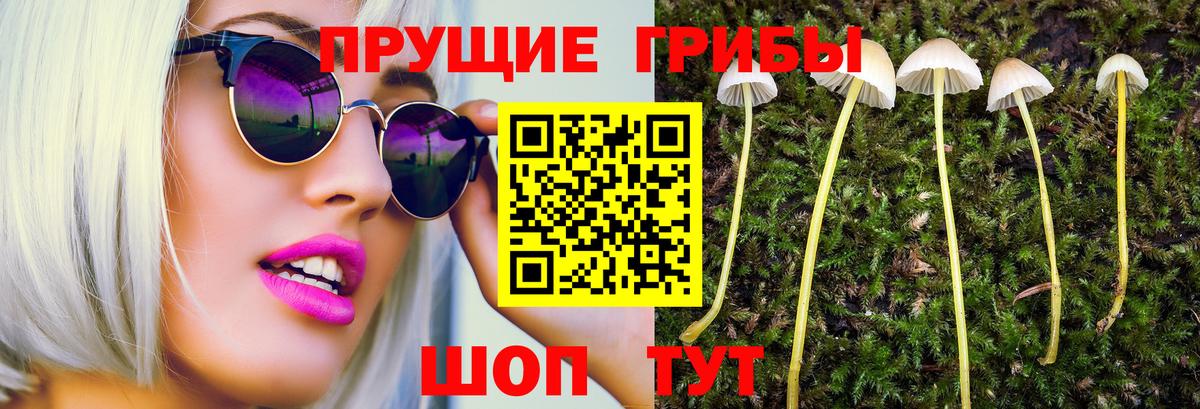 купить наркоту  Галлюциногенные грибы ЛСД  Вход с VPN  Ярцево 